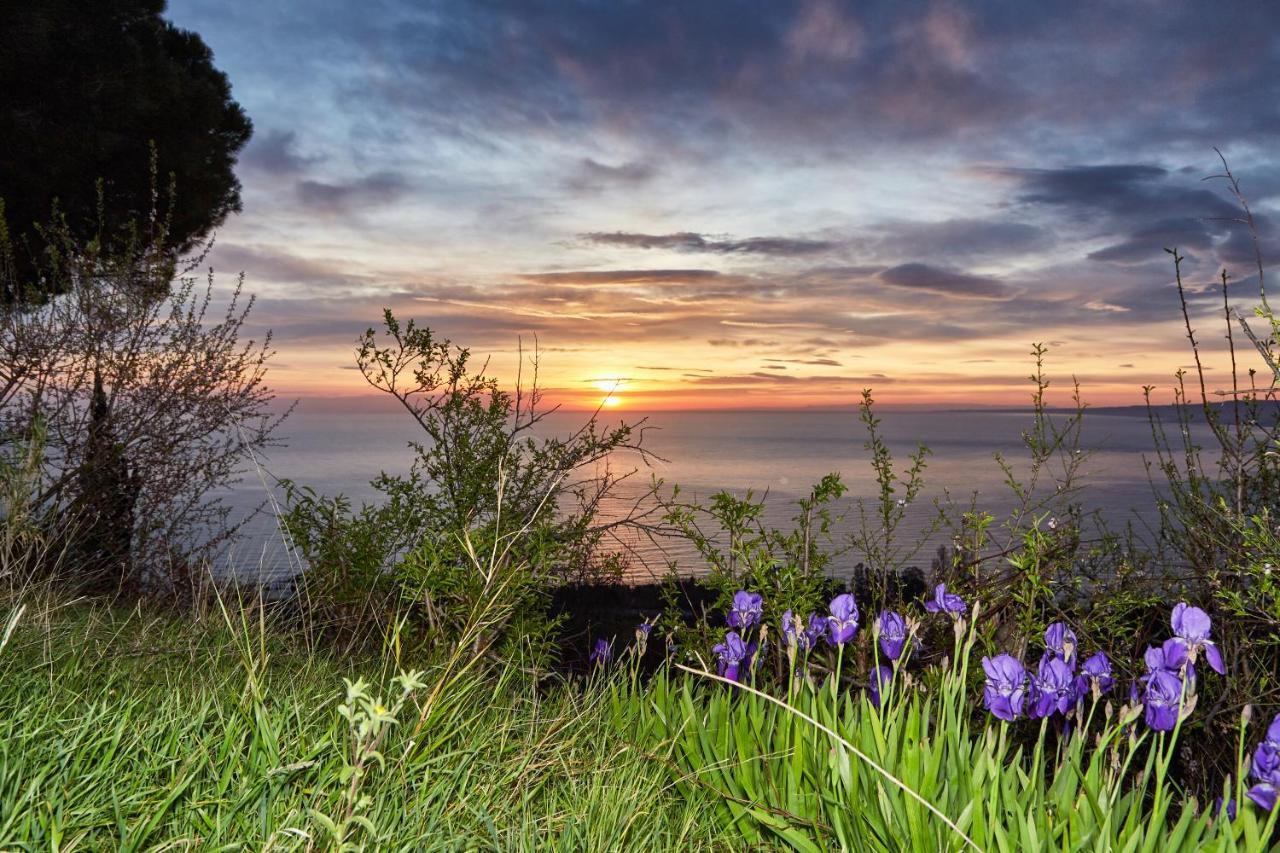 Best Vasto Bagian luar foto